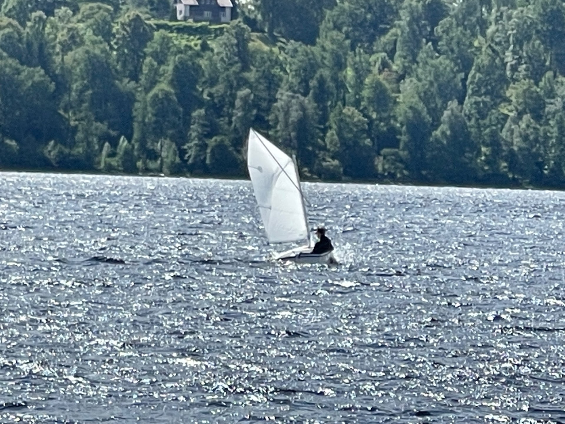 Segelbåt glider fram över Viaredssjön